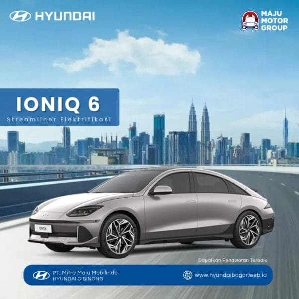 IONIQ 6